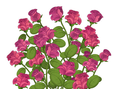Cartoon roses - isolated - illustration for children