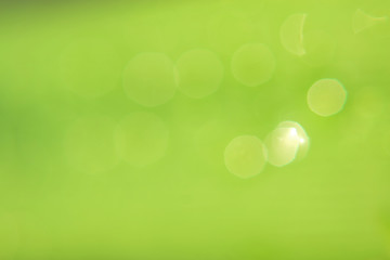 Obraz premium water drop on green leaf Bokeh and background