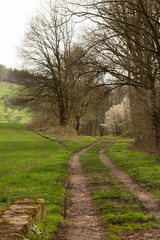 Wanderweg