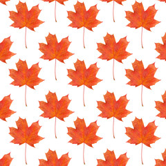 Naklejka na ściany i meble pattern maple leaf red autumn