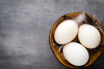  Duck eggs on a cage gray background.