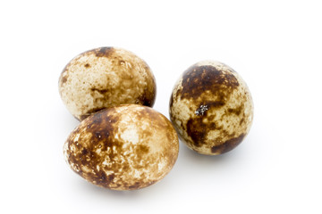 Quail eggs the isolated on a white background.