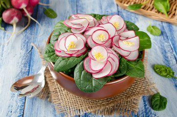 Vegetable salad Violet on blue wooden table