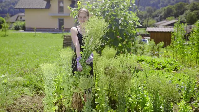 Woman holding inedible salad plant