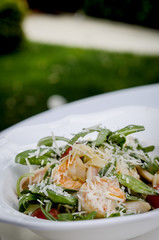 delicious seafood pasta served on white plate on green background