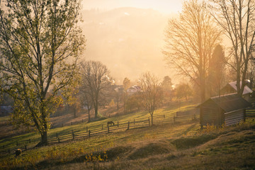 Beautiful autumn mountain landscape