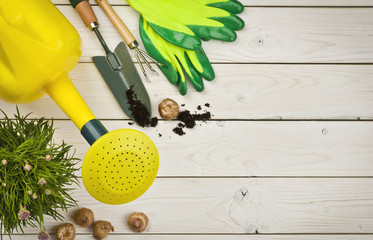 Above view of gardening tools on wooden background with copyspace
