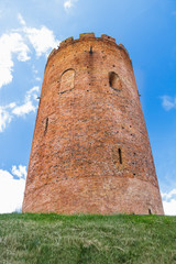 Fototapeta na wymiar Closeup of Belarusian Kamyenyets Tower brickwork