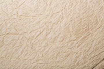 Jammed paper. Closeup