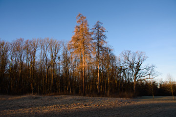 Schlosspark © benjaminpritsch