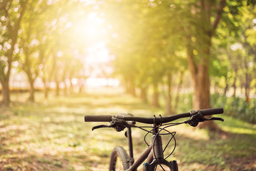 Fototapeta na wymiar Mountain biking at sunshine