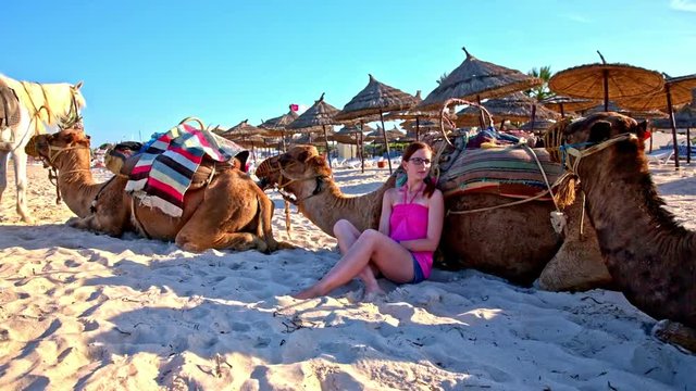 Female tourist and three camels on sand beach