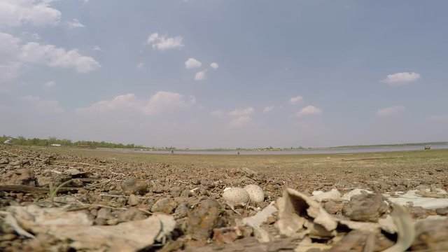 Birds hatch on land Adjacent to lake