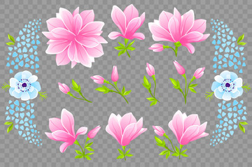 VECTOR eps 10. Isolated pink Magnolia and blue Anemones. Japanese blossom
