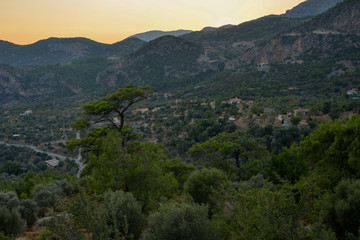 Fototapeta na wymiar pine trees in mediterranean mountains Mesudiye, Datca region, Turkey