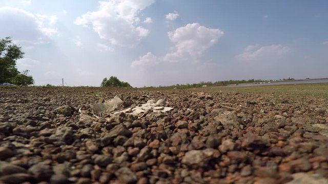Birds hatch on land Adjacent to lake