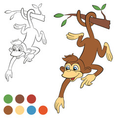 Kleurplaat. Kleur me: aap. Kleine schattige aap die aan de boom hangt en ergens wijst. Aap glimlacht.