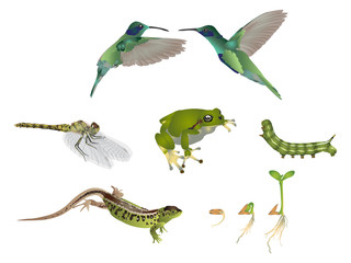 Amazing nature set - dressed in green 