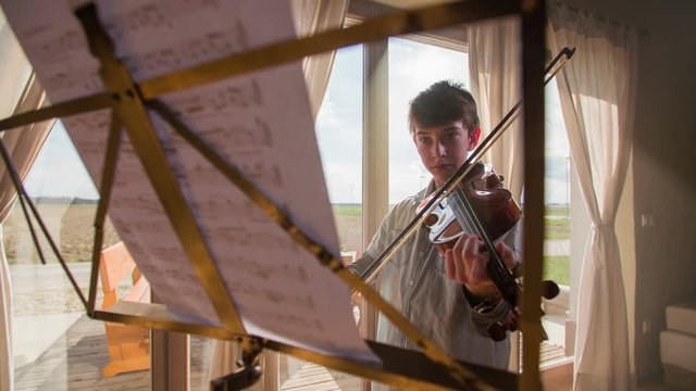 Playing violin view from behind music notes