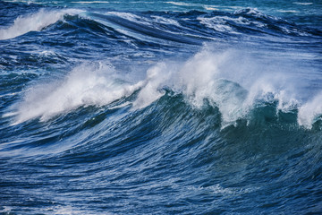 big sea wave