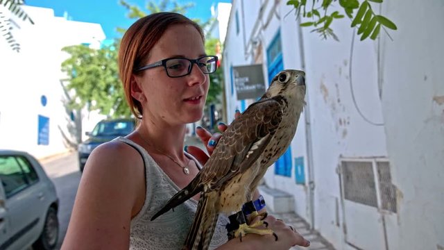 Woman caressing saker falcon bird on hand