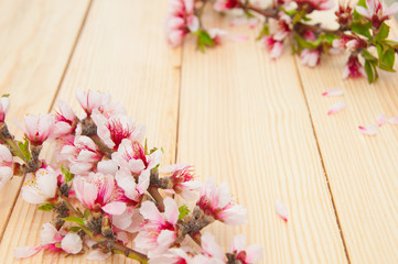 Fototapeta na wymiar Blooming branch on a wooden background