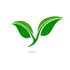 green leaf flat icon. symbol vector illustration icon - 107418709