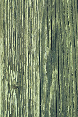 Green timber board with knot