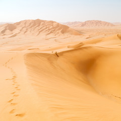 Fototapeta na wymiar in oman old desert rub al khali the empty quarter and outdoor s