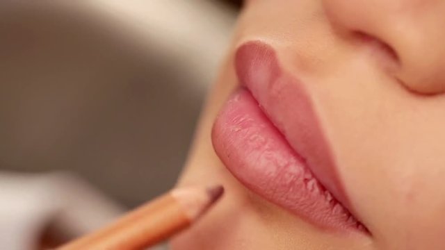 Master color lip brush