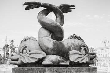 Ancient fish sculpture of Fontana del Nettuno