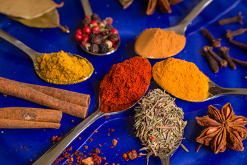 Different colorful spices on dark blue background