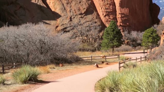 Garden of the Gods at the end of the Winter