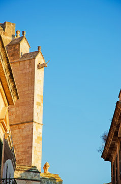 Minorca, Isole Baleari, Spagna: gargolla sulla Cattedrale di Santa Maria, la Basilica di Ciutadella, vista dai vicoli della citt&agrave; il 7 luglio 2013