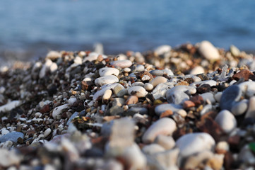 pebble beach in Budva