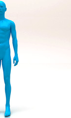 Busto, Anatomia Umana, Scultura