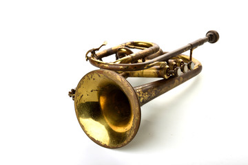 trumpet