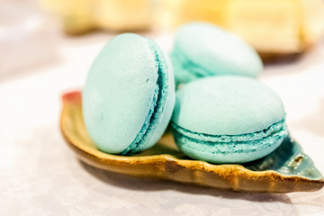 macaroon mint colored on a plate