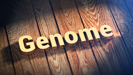 Word Genome on wood planks