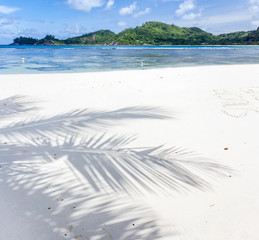  ombre de cocotier sur plage des Seychelles  © Unclesam