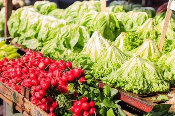 Fresh Lettuce on Market