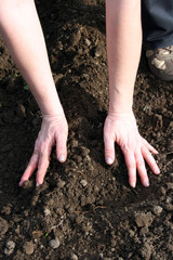 Preparig ground for agriculture production