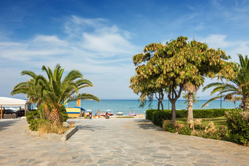 Fototapeta premium Sunny street ways to the Mediterranean sea in Hanioti village, Halkidiki, Greece.