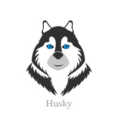 Cute Siberian Husky  standing front view dog, vector illustration