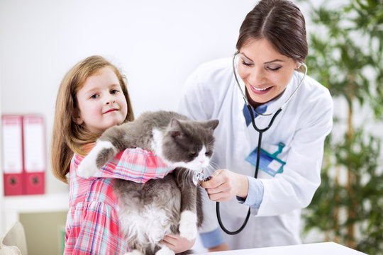 Girl takingt pet cat to vet for examination
