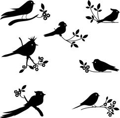 Vector Collection of Bird Silhouettes - 107432927