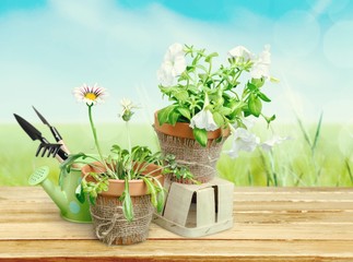 Gardening.