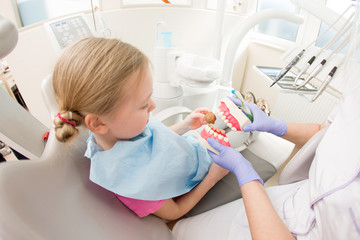 Dental hygiene. Dentist demonstrating tooth brushing

