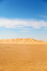 Fototapeta na wymiar in oman desert sand dune