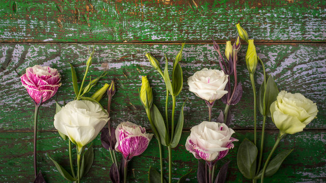 Fototapeta Piękni kwiaty na kolorowym drewnianym tle